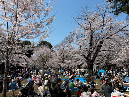 ファイル 6809-1.jpg