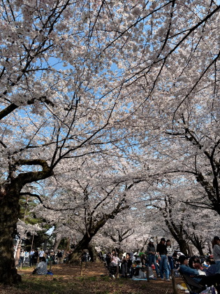 ファイル 6809-2.jpg