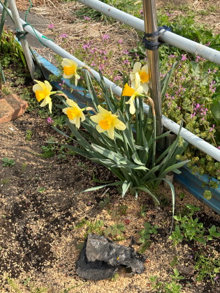 ファイル 6811-5.jpg