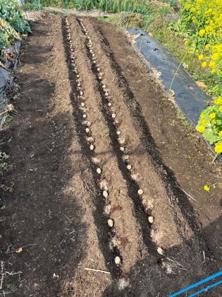 ファイル 6812-1.jpg