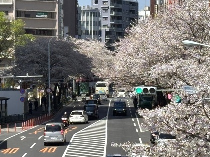 ファイル 6815-1.jpg