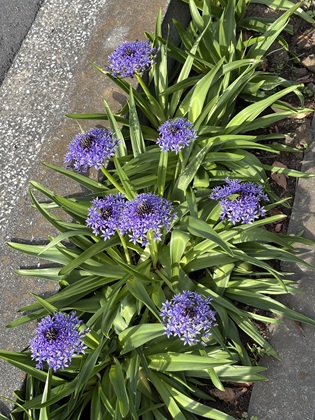 ファイル 6836-1.jpg