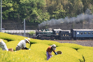 ファイル 984-1.jpg