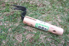 ファイル 991-1.jpg