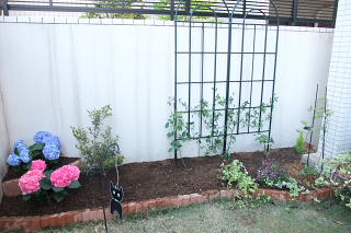 ファイル 996-1.jpg