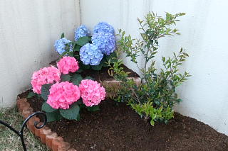 ファイル 996-2.jpg