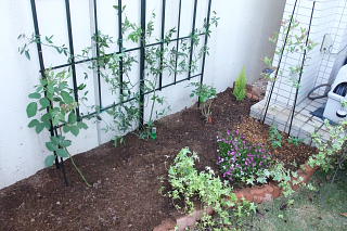 ファイル 996-3.jpg